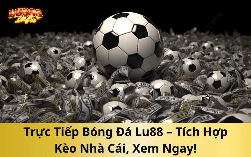 Mẹo Chọn Kèo Luôn Thắng Khi Xem Trực Tiếp Bóng Đá Lu88